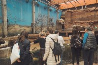 ZOO