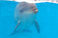 WP_20170514_14_40_40_Pro