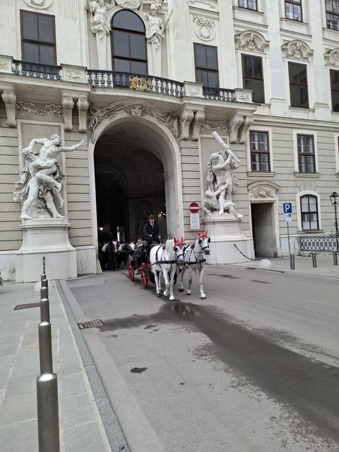 WhatsApp-Image-2025-10-28-at-08.12.38-2