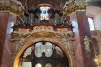 WhatsApp-Image-2025-10-28-at-08.06.19-2